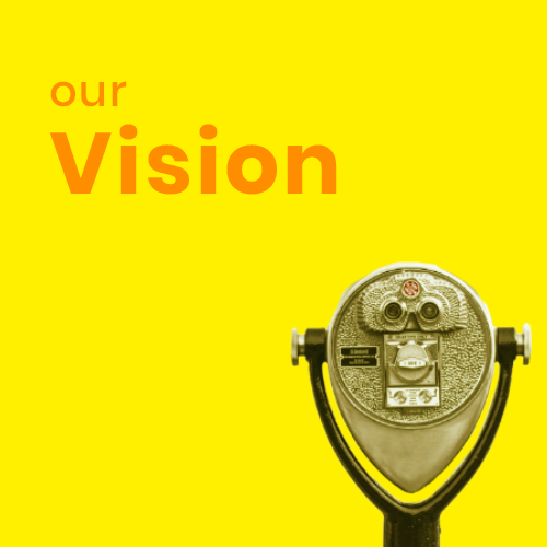 vision